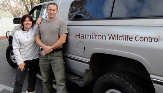 Hamilton Wildlife Control