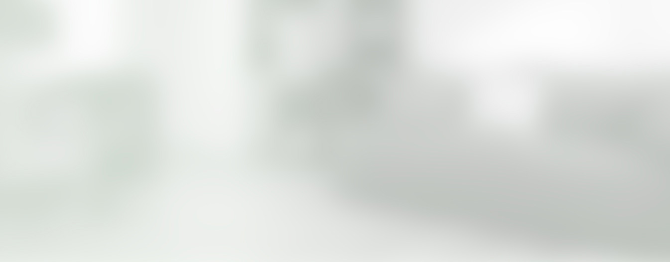 Hamilton Wildlife Removal & Control Raccoons, Rodents and Squirrels