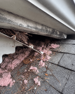 A broken soffit with insulation and debris around the opening.